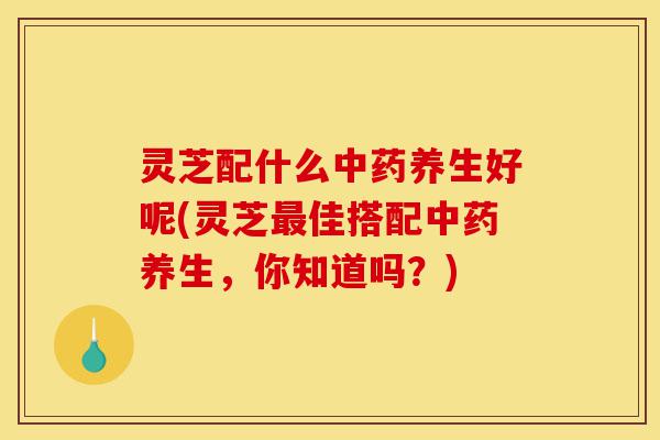 灵芝配什么中药养生好呢(灵芝最佳搭配中药养生,你知道吗?)-第1张图片-灵芝之家 灵芝配什么中药养生好呢(灵芝最佳搭配中药养生,你知道吗?)-第1张图片-灵芝之家