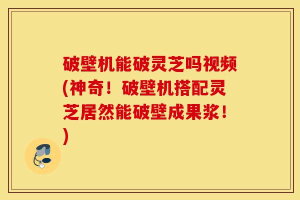 破壁机能破灵芝吗视频(神奇!破壁机搭配灵芝居然能破壁成果浆!)-第1张图片-灵芝之家 破壁机能破灵芝吗视频(神奇!破壁机搭配灵芝居然能破壁成果浆!)-第1张图片-灵芝之家