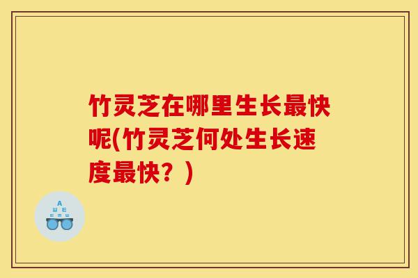 竹灵芝在哪里生长最快呢(竹灵芝何处生长速度最快?)-第1张图片-灵芝之家 竹灵芝在哪里生长最快呢(竹灵芝何处生长速度最快?)-第1张图片-灵芝之家
