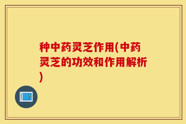 种中药灵芝作用(中药灵芝的功效和作用解析)-第1张图片-灵芝之家 种中药灵芝作用(中药灵芝的功效和作用解析)-第1张图片-灵芝之家