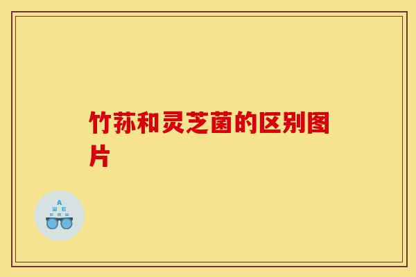 竹荪和灵芝菌的区别图片-第1张图片-灵芝之家 竹荪和灵芝菌的区别图片-第1张图片-灵芝之家