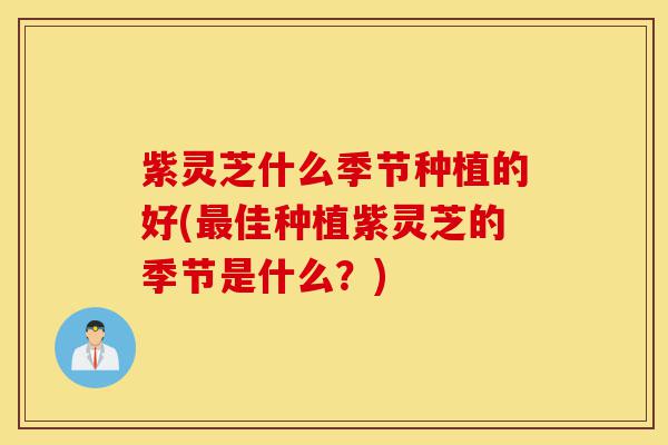 紫灵芝什么季节种植的好(最佳种植紫灵芝的季节是什么?)-第1张图片-灵芝之家 紫灵芝什么季节种植的好(最佳种植紫灵芝的季节是什么?)-第1张图片-灵芝之家