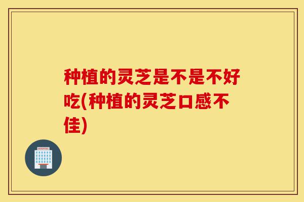 种植的灵芝是不是不好吃(种植的灵芝口感不佳)-第1张图片-灵芝之家 种植的灵芝是不是不好吃(种植的灵芝口感不佳)-第1张图片-灵芝之家