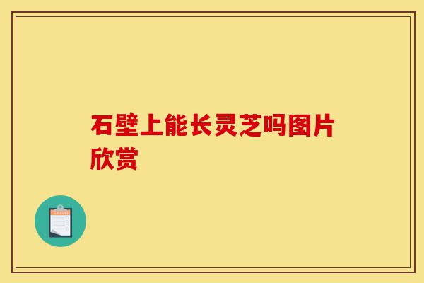 石壁上能长灵芝吗图片欣赏-第1张图片-灵芝之家 石壁上能长灵芝吗图片欣赏-第1张图片-灵芝之家