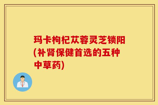 玛卡枸杞苁蓉灵芝锁阳(补肾保健首选的五种中草药)-第1张图片-灵芝之家 玛卡枸杞苁蓉灵芝锁阳(补肾保健首选的五种中草药)-第1张图片-灵芝之家