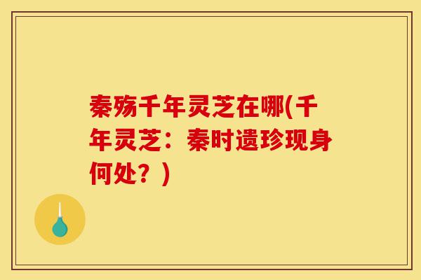 秦殇千年灵芝在哪(千年灵芝:秦时遗珍现身何处?)-第1张图片-灵芝之家 秦殇千年灵芝在哪(千年灵芝:秦时遗珍现身何处?)-第1张图片-灵芝之家