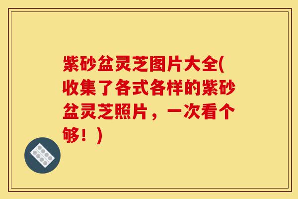 紫砂盆灵芝图片大全(收集了各式各样的紫砂盆灵芝照片，一次看个够！)-第1张图片-灵芝之家