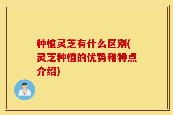 种植灵芝有什么区别(灵芝种植的优势和特点介绍)-第1张图片-灵芝之家 种植灵芝有什么区别(灵芝种植的优势和特点介绍)-第1张图片-灵芝之家