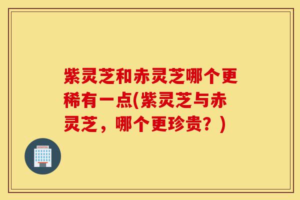 紫灵芝和赤灵芝哪个更稀有一点(紫灵芝与赤灵芝,哪个更珍贵?)-第1张图片-灵芝之家 紫灵芝和赤灵芝哪个更稀有一点(紫灵芝与赤灵芝,哪个更珍贵?)-第1张图片-灵芝之家