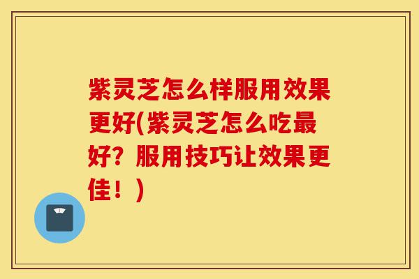 紫灵芝怎么样服用效果更好(紫灵芝怎么吃最好?服用技巧让效果更佳!)-第1张图片-灵芝之家 紫灵芝怎么样服用效果更好(紫灵芝怎么吃最好?服用技巧让效果更佳!)-第1张图片-灵芝之家