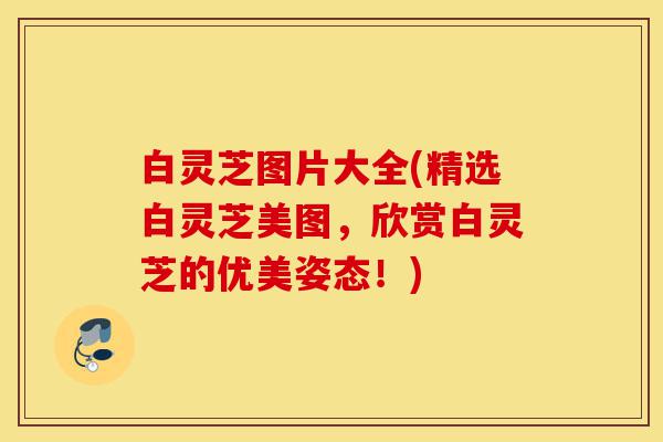 白灵芝图片大全(精选白灵芝美图，欣赏白灵芝的优美姿态！)-第1张图片-灵芝之家