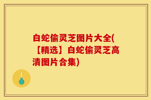 白蛇偷灵芝图片大全(【精选】白蛇偷灵芝高清图片合集)-第1张图片-灵芝之家