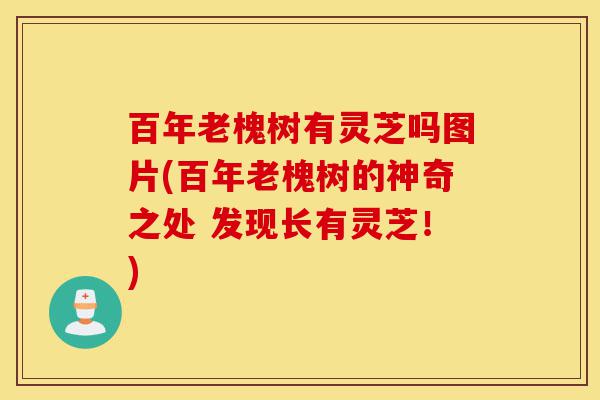 百年老槐树有灵芝吗图片(百年老槐树的神奇之处 发现长有灵芝!)-第1张图片-灵芝之家 百年老槐树有灵芝吗图片(百年老槐树的神奇之处 发现长有灵芝!)-第1张图片-灵芝之家