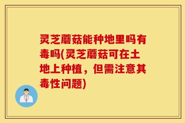 灵芝蘑菇能种地里吗有毒吗(灵芝蘑菇可在土地上种植，但需注意其毒性问题)-第1张图片-灵芝之家