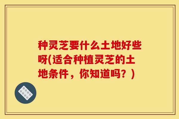种灵芝要什么土地好些呀(适合种植灵芝的土地条件,你知道吗?)-第1张图片-灵芝之家 种灵芝要什么土地好些呀(适合种植灵芝的土地条件,你知道吗?)-第1张图片-灵芝之家