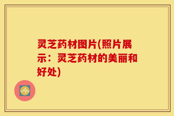 灵芝药材图片(照片展示:灵芝药材的美丽和好处)-第1张图片-灵芝之家 灵芝药材图片(照片展示:灵芝药材的美丽和好处)-第1张图片-灵芝之家
