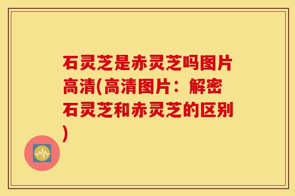 石灵芝是赤灵芝吗图片高清(高清图片:解密石灵芝和赤灵芝的区别)-第1张图片-灵芝之家 石灵芝是赤灵芝吗图片高清(高清图片:解密石灵芝和赤灵芝的区别)-第1张图片-灵芝之家