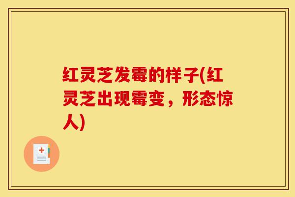 红灵芝发霉的样子(红灵芝出现霉变,形态惊人)-第1张图片-灵芝之家 红灵芝发霉的样子(红灵芝出现霉变,形态惊人)-第1张图片-灵芝之家