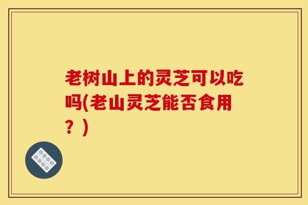 老树山上的灵芝可以吃吗(老山灵芝能否食用?)-第1张图片-灵芝之家 老树山上的灵芝可以吃吗(老山灵芝能否食用?)-第1张图片-灵芝之家