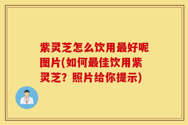 紫灵芝怎么饮用最好呢图片(如何最佳饮用紫灵芝?照片给你提示)-第1张图片-灵芝之家 紫灵芝怎么饮用最好呢图片(如何最佳饮用紫灵芝?照片给你提示)-第1张图片-灵芝之家