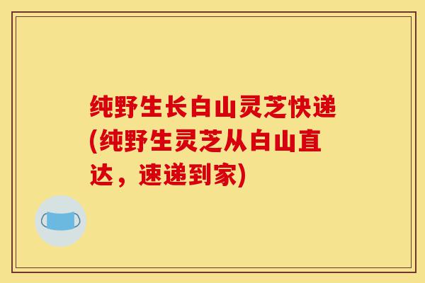 纯野生长白山灵芝快递(纯野生灵芝从白山直达,速递到家)-第1张图片-灵芝之家 纯野生长白山灵芝快递(纯野生灵芝从白山直达,速递到家)-第1张图片-灵芝之家