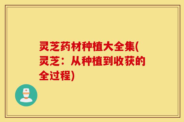 灵芝药材种植大全集(灵芝：从种植到收获的全过程)-第1张图片-灵芝之家