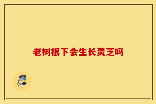 老树根下会生长灵芝吗-第1张图片-灵芝之家
