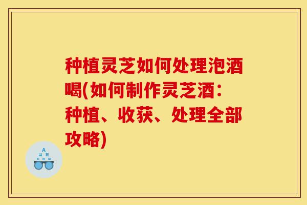 种植灵芝如何处理泡酒喝(如何制作灵芝酒:种植、收获、处理全部攻略)-第1张图片-灵芝之家 种植灵芝如何处理泡酒喝(如何制作灵芝酒:种植、收获、处理全部攻略)-第1张图片-灵芝之家