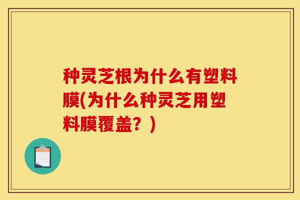 种灵芝根为什么有塑料膜(为什么种灵芝用塑料膜覆盖?)-第1张图片-灵芝之家 种灵芝根为什么有塑料膜(为什么种灵芝用塑料膜覆盖?)-第1张图片-灵芝之家