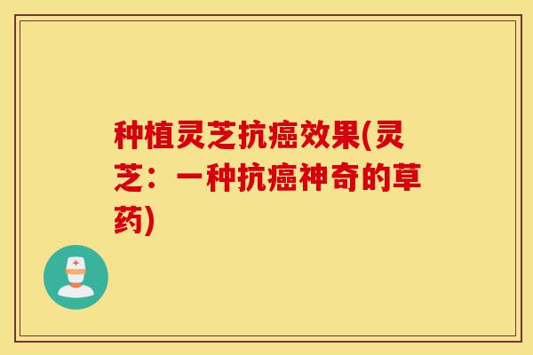 种植灵芝抗癌效果(灵芝：一种抗癌神奇的草药)-第1张图片-灵芝之家