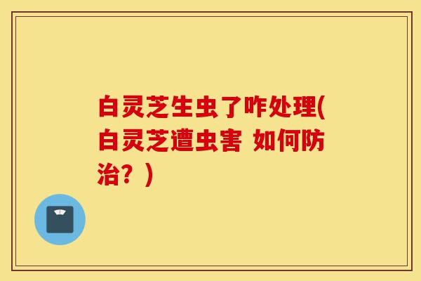 白灵芝生虫了咋处理(白灵芝遭虫害 如何防治?)-第1张图片-灵芝之家 白灵芝生虫了咋处理(白灵芝遭虫害 如何防治?)-第1张图片-灵芝之家