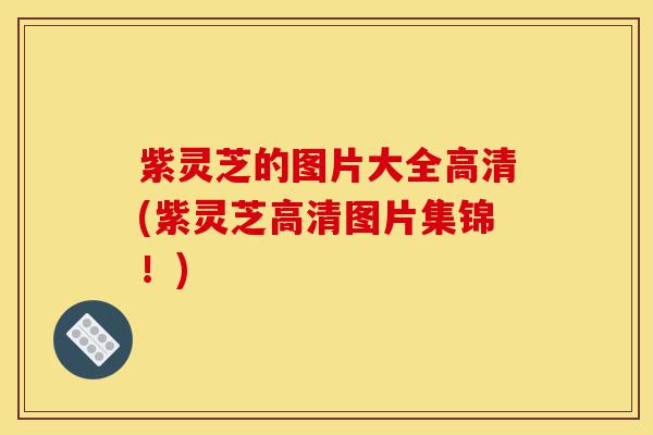 紫灵芝的图片大全高清(紫灵芝高清图片集锦!)-第1张图片-灵芝之家 紫灵芝的图片大全高清(紫灵芝高清图片集锦!)-第1张图片-灵芝之家