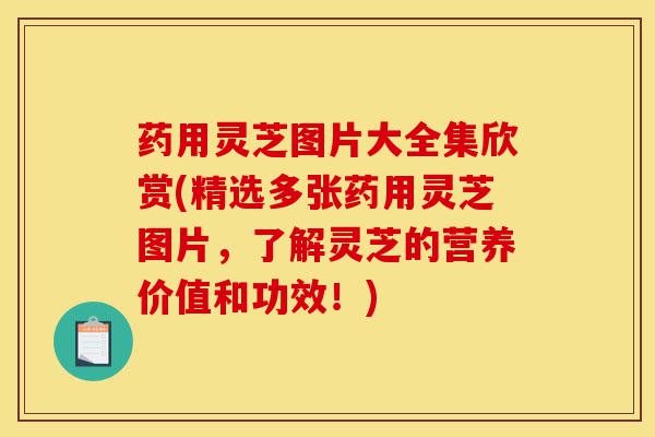 药用灵芝图片大全集欣赏(精选多张药用灵芝图片,了解灵芝的营养价值和功效!)-第1张图片-灵芝之家 药用灵芝图片大全集欣赏(精选多张药用灵芝图片,了解灵芝的营养价值和功效!)-第1张图片-灵芝之家
