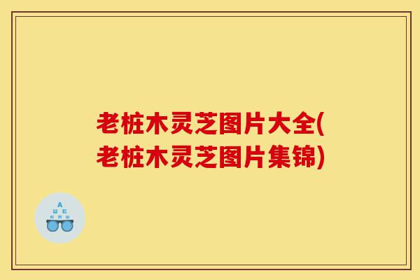 老桩木灵芝图片大全(老桩木灵芝图片集锦)-第1张图片-灵芝之家 老桩木灵芝图片大全(老桩木灵芝图片集锦)-第1张图片-灵芝之家