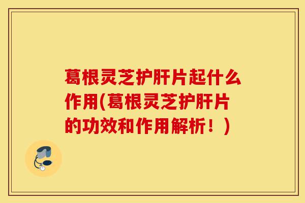 葛根灵芝护肝片起什么作用(葛根灵芝护肝片的功效和作用解析!)-第1张图片-灵芝之家 葛根灵芝护肝片起什么作用(葛根灵芝护肝片的功效和作用解析!)-第1张图片-灵芝之家