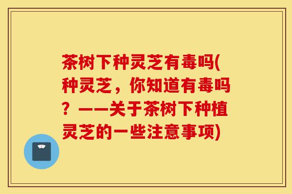 茶树下种灵芝有毒吗(种灵芝,你知道有毒吗?——关于茶树下种植灵芝的一些注意事项)-第1张图片-灵芝之家 茶树下种灵芝有毒吗(种灵芝,你知道有毒吗?——关于茶树下种植灵芝的一些注意事项)-第1张图片-灵芝之家