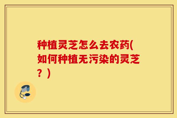 种植灵芝怎么去农药(如何种植无污染的灵芝？)-第1张图片-灵芝之家