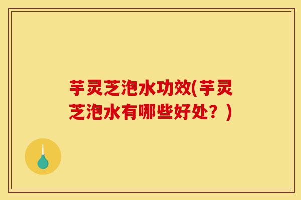 芋灵芝泡水功效(芋灵芝泡水有哪些好处?)-第1张图片-灵芝之家 芋灵芝泡水功效(芋灵芝泡水有哪些好处?)-第1张图片-灵芝之家