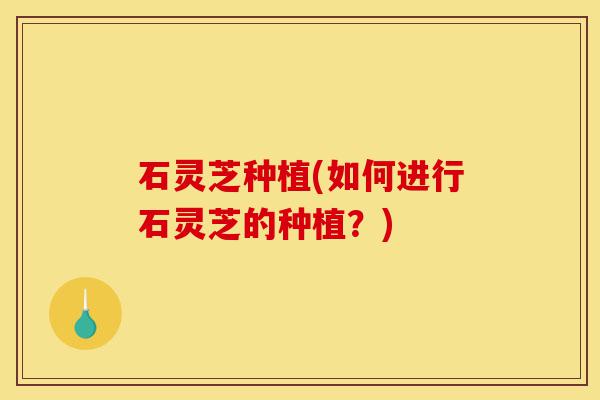 石灵芝种植(如何进行石灵芝的种植?)-第1张图片-灵芝之家 石灵芝种植(如何进行石灵芝的种植?)-第1张图片-灵芝之家