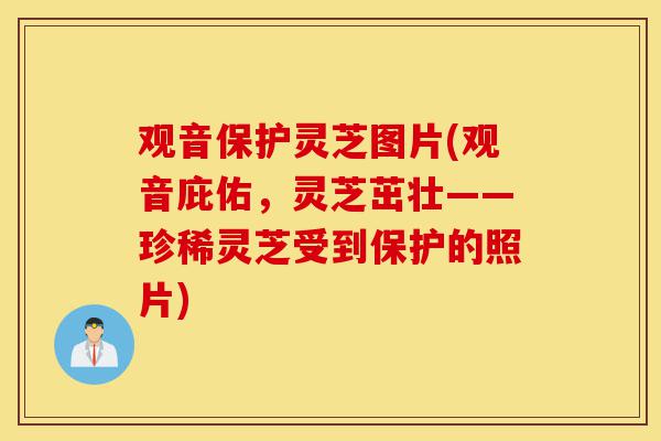 观音保护灵芝图片(观音庇佑,灵芝茁壮——珍稀灵芝受到保护的照片)-第1张图片-灵芝之家 观音保护灵芝图片(观音庇佑,灵芝茁壮——珍稀灵芝受到保护的照片)-第1张图片-灵芝之家