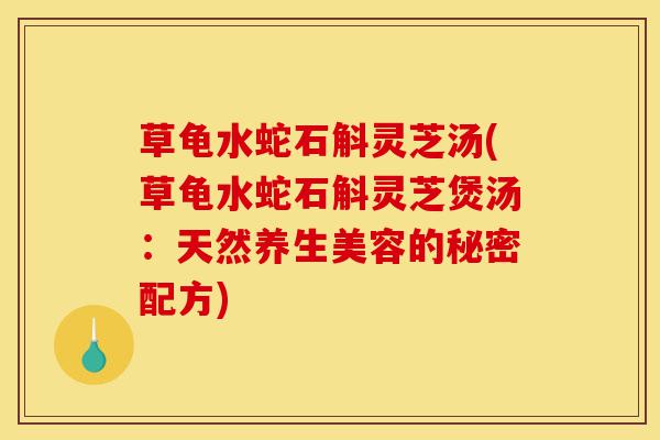 草龟水蛇石斛灵芝汤(草龟水蛇石斛灵芝煲汤:天然养生美容的秘密配方)-第1张图片-灵芝之家 草龟水蛇石斛灵芝汤(草龟水蛇石斛灵芝煲汤:天然养生美容的秘密配方)-第1张图片-灵芝之家