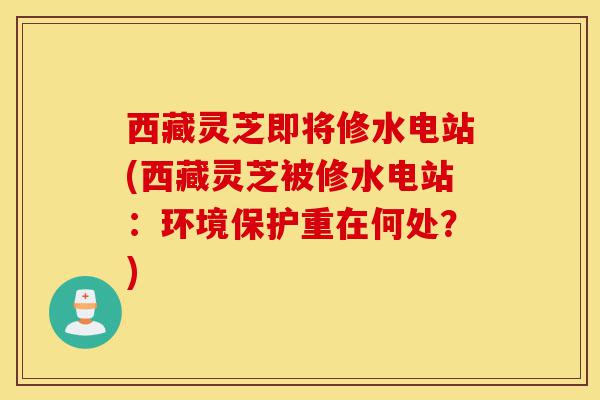 西藏灵芝即将修水电站(西藏灵芝被修水电站:环境保护重在何处?)-第1张图片-灵芝之家 西藏灵芝即将修水电站(西藏灵芝被修水电站:环境保护重在何处?)-第1张图片-灵芝之家