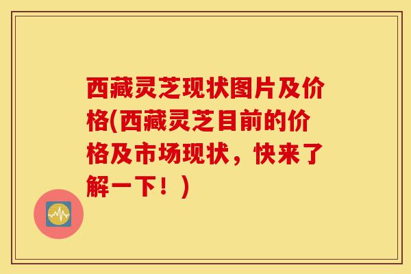 西藏灵芝现状图片及价格(西藏灵芝目前的价格及市场现状,快来了解一下!)-第1张图片-灵芝之家 西藏灵芝现状图片及价格(西藏灵芝目前的价格及市场现状,快来了解一下!)-第1张图片-灵芝之家