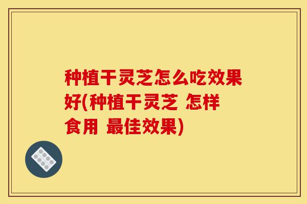 种植干灵芝怎么吃效果好(种植干灵芝 怎样食用 最佳效果)-第1张图片-灵芝之家 种植干灵芝怎么吃效果好(种植干灵芝 怎样食用 最佳效果)-第1张图片-灵芝之家
