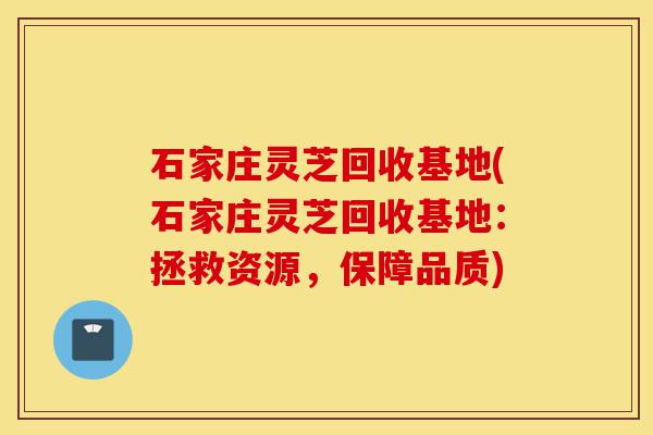 石家庄灵芝回收基地(石家庄灵芝回收基地:拯救资源,保障品质)-第1张图片-灵芝之家 石家庄灵芝回收基地(石家庄灵芝回收基地:拯救资源,保障品质)-第1张图片-灵芝之家