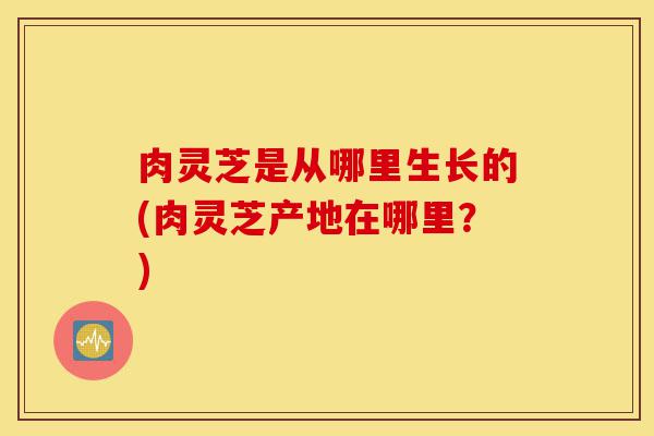 肉灵芝是从哪里生长的(肉灵芝产地在哪里?)-第1张图片-灵芝之家 肉灵芝是从哪里生长的(肉灵芝产地在哪里?)-第1张图片-灵芝之家