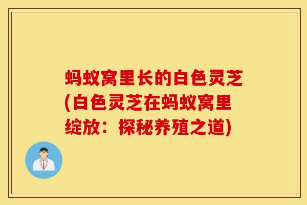 蚂蚁窝里长的白色灵芝(白色灵芝在蚂蚁窝里绽放:探秘养殖之道)-第1张图片-灵芝之家 蚂蚁窝里长的白色灵芝(白色灵芝在蚂蚁窝里绽放:探秘养殖之道)-第1张图片-灵芝之家
