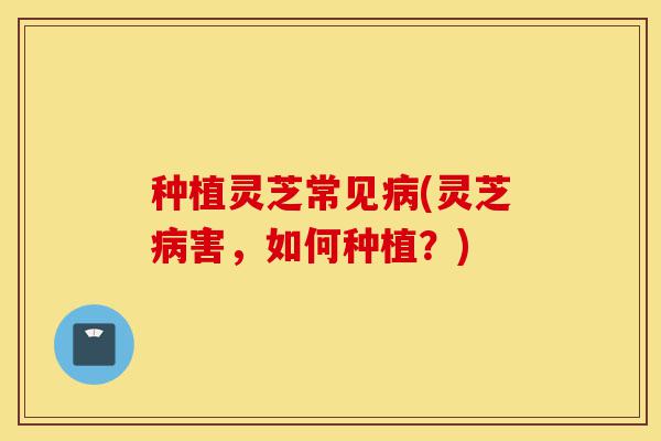 种植灵芝常见病(灵芝病害,如何种植?)-第1张图片-灵芝之家 种植灵芝常见病(灵芝病害,如何种植?)-第1张图片-灵芝之家