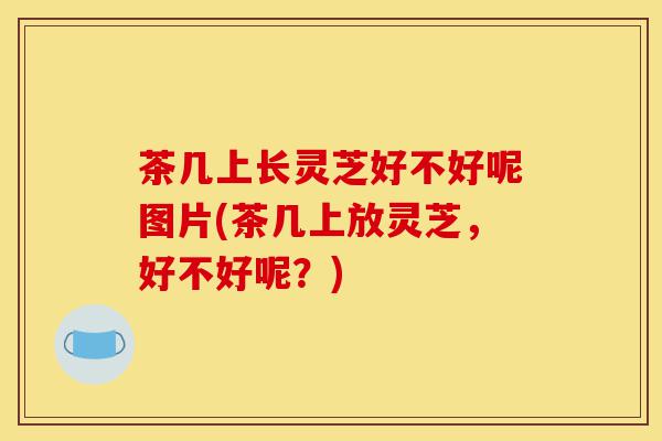 茶几上长灵芝好不好呢图片(茶几上放灵芝,好不好呢?)-第1张图片-灵芝之家 茶几上长灵芝好不好呢图片(茶几上放灵芝,好不好呢?)-第1张图片-灵芝之家