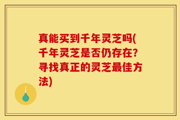 真能买到千年灵芝吗(千年灵芝是否仍存在？寻找真正的灵芝最佳方法)-第1张图片-灵芝之家
